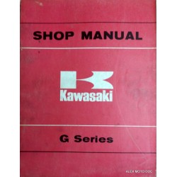  Kawasaki KG 100 de 1981