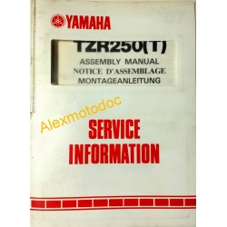  Yamaha 250 TZR de 1987